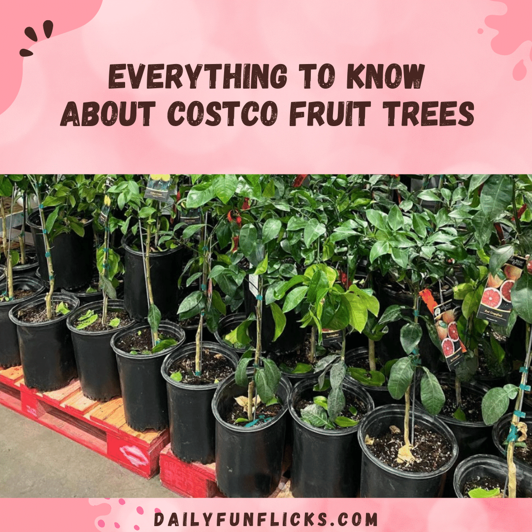 Everything To Know About Costco Fruit Trees You Customize